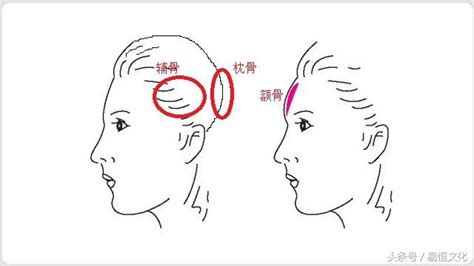 額骨面相